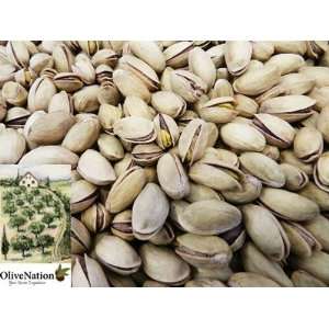Large Premium Turkish Pistachios Roasted & Salted in the Shell 16 oz
