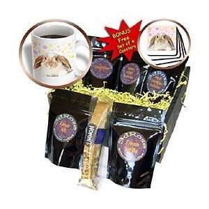 Rabbits   Rabbit   Coffee Gift Baskets   Coffee Gift Basket  